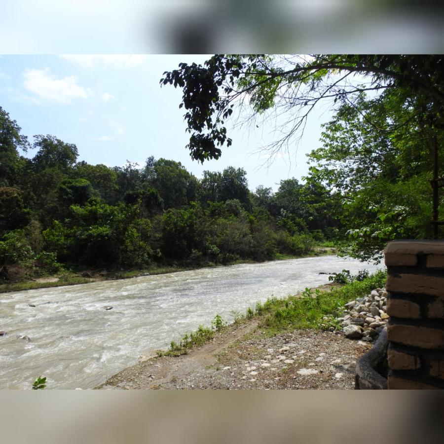 Camp Hornbill Corbett Ξενοδοχείο Ramnagar  Εξωτερικό φωτογραφία