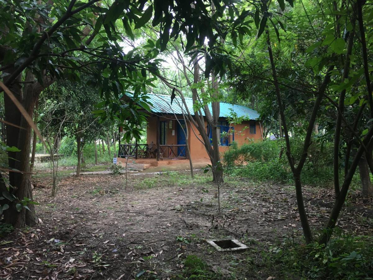 Camp Hornbill Corbett Ξενοδοχείο Ramnagar  Εξωτερικό φωτογραφία