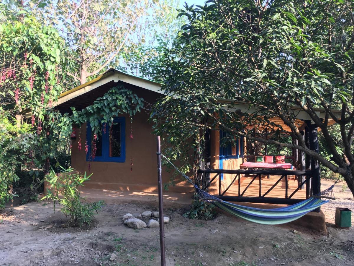 Camp Hornbill Corbett Ξενοδοχείο Ramnagar  Εξωτερικό φωτογραφία