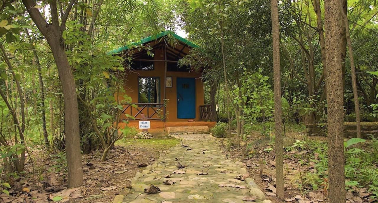 Camp Hornbill Corbett Ξενοδοχείο Ramnagar  Εξωτερικό φωτογραφία