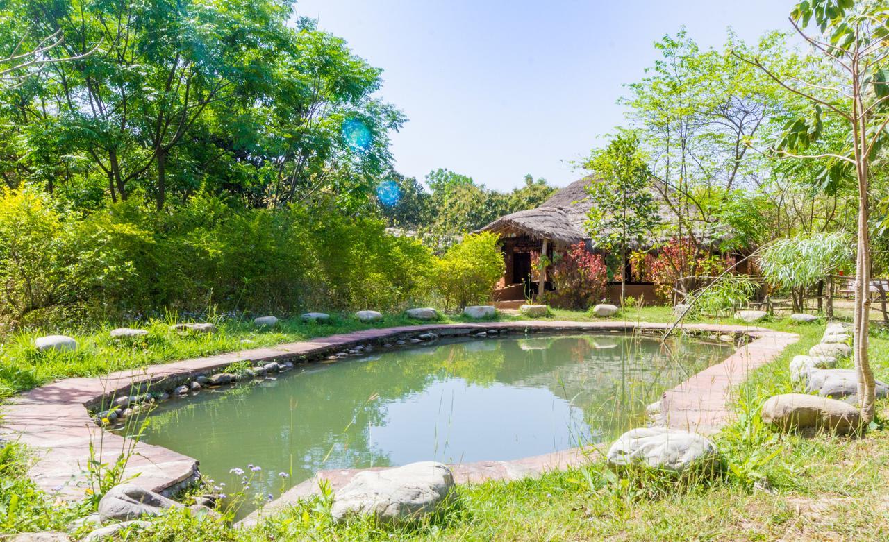 Camp Hornbill Corbett Ξενοδοχείο Ramnagar  Εξωτερικό φωτογραφία