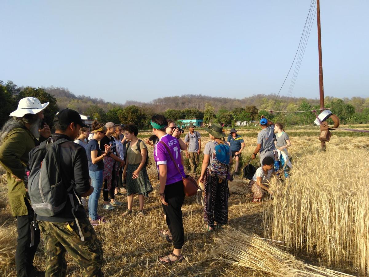 Camp Hornbill Corbett Ξενοδοχείο Ramnagar  Εξωτερικό φωτογραφία